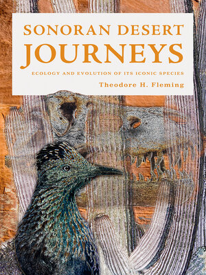 cover image of Sonoran Desert Journeys